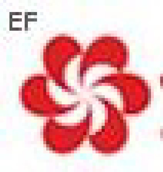 第103屆中國進(jìn)出口商品交易會(一期)