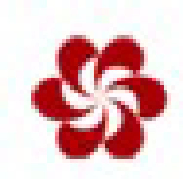 2010第108屆中國進(jìn)出口商品交易會(第一期)